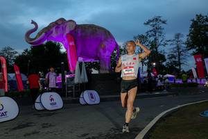 BIB: 
                            <button type="button" onclick="openModal(26529745)" class="btn btn-primary btn-sm float-right btn-popup" data-toggle="modal" data-target=".modal-high-quality">
                        <i class="fas fa-shopping-cart"></i> Add to Cart
                    </button>
                                            <button type="button" onclick="isThisMe(26529745, true)" class="btn btn-success btn-sm float-right btn-popup btn-isme hidden" data-toggle="tooltip" data-placement="bottom" title="นี่คือรูปของคุณใช่ไหม คลิกที่นี่เพื่อเอาเข้าอัลบั้ม">
                        <i class="fas fa-plus"></i> Add to album
                    </button>
                    <button type="button" onclick="isThisMe(26529745, false)" class="btn btn-warning btn-sm float-right btn-popup btn-isnotme hidden">
                        <i class="fas fa-ban"></i> Remove from album
                    </button>